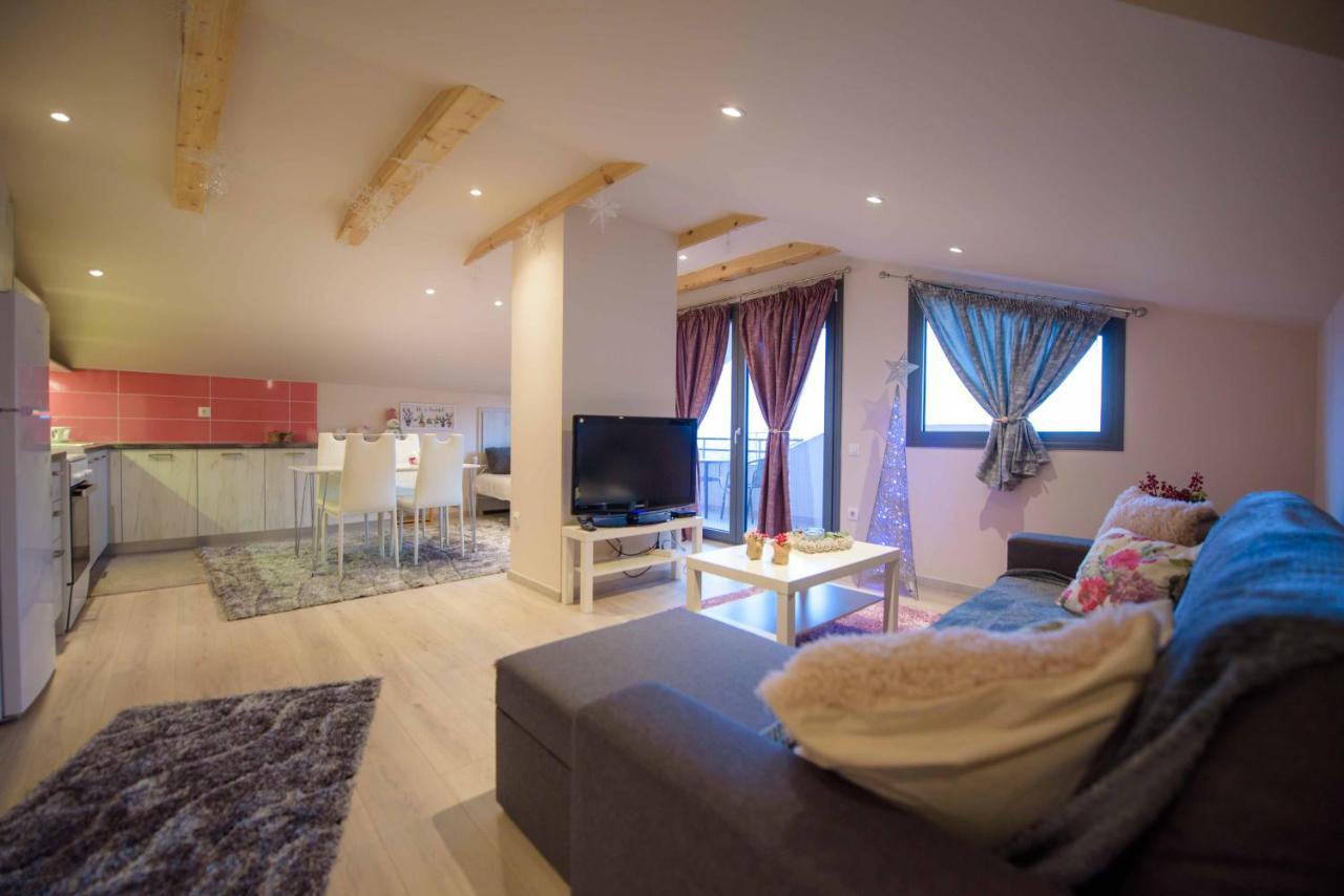New Loft Polixeni Apartment Ioannina Exterior photo