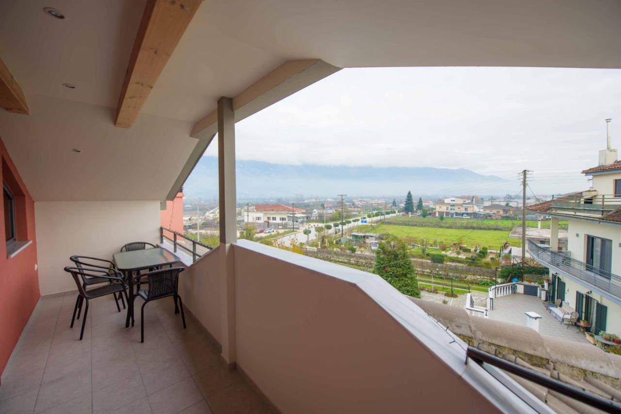 New Loft Polixeni Apartment Ioannina Exterior photo